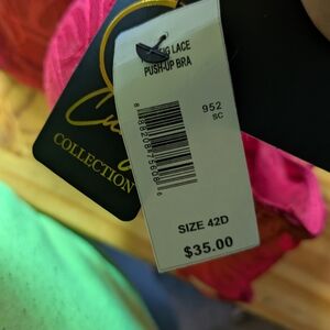 RACHEL Rachel Roy Velvet & Lace Push-Up Bra in Red